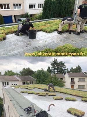 Sur une terrasse pose de la végétalisation