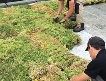 Toit végétalisé toit terrasse ou inaccessible <br>en ile-de-France